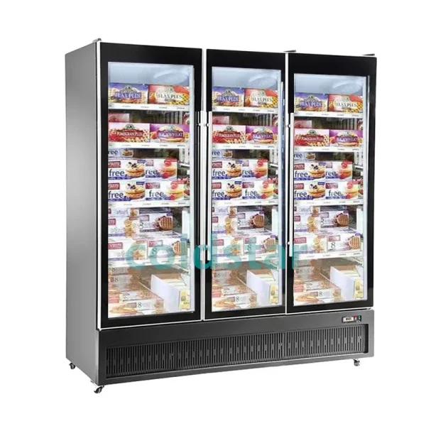 Triple Door Display Freezer | Commercial Showcase Freezer